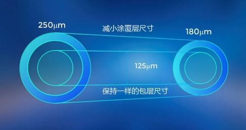 长飞新型单模光纤 为5G网络建设与技术创新注入强劲动能