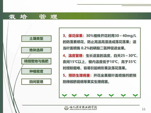 党建引领谋发展，科技助农备春耕 网络课堂之辣椒栽培技术要点与网络技术开发融合新路径